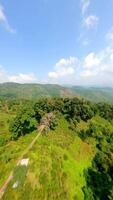 montanha paisagens do norte Tailândia video