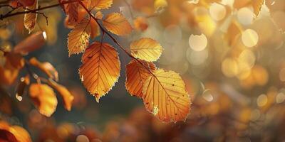 AI generated Golden Majesty. Embracing the Beauty of Autumn with its Radiant Golden Scenery photo