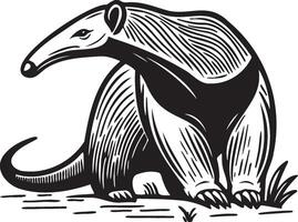 oso hormiguero bosquejo ilustración. vector