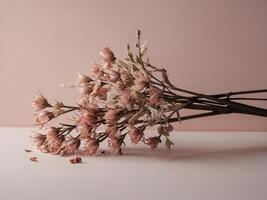 Dried Bloom Flower photo