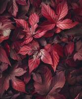 AI generated Red autumn leaves texture background photo