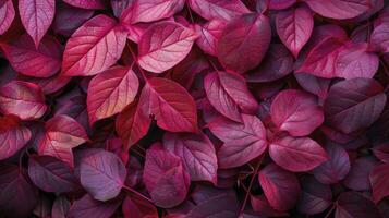 ai generado rojo otoño hojas textura antecedentes foto