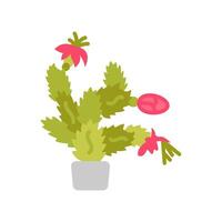 Christmas Cactus icon in vector. Logotype vector