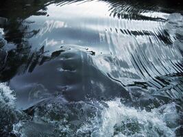 Water stream, nature background photo