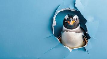 AI generated A humorous penguin peers through a ripped hole in a contrast pastel color paper background, Ai Generated photo