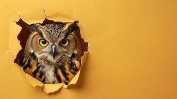 AI generated A humorous owl peers through a ripped hole in a contrast pastel color paper background, Ai Generated photo