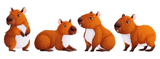 Set of four cute capybaras. Adult capybaras in different poses. Wild animals of South America. Vector cartoon style.