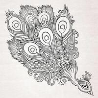 Decorative ornamental peacock background vector