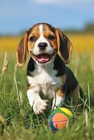 ai generado alegre beagle perrito es teniendo divertido jugando con un pelota en el prado foto