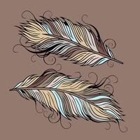 Vintage ethnic vector Feathers