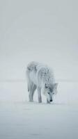 ai generado lobo camina mediante el nieve foto
