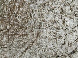 Cracked soil, Drought soil, Wet soil and mud texture, Wet land. photo