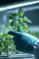 AI generated Biotechnological research of plants for agriculture laboratory photo