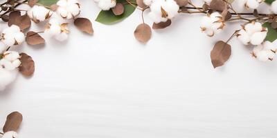 AI generated flat lay dry branches with cotton flowers on a white background, with space for text photo