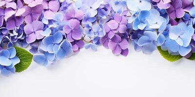 AI generated flat lay, border of blue and purple hydrangea flowers on a white background, with space for text photo