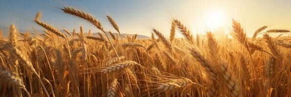 AI generated Photorealistic wheat field. Ears of ripe wheat. Beautiful nature landscape. Agriculture. Farming photo