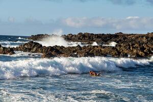 ver de el furioso Oceano en el isla de tenerife.españa foto