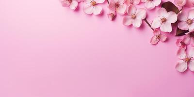 AI generated flat lay, pink sakura flowers on a pink background. space for text photo