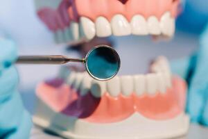 un dental médico vistiendo azul guantes y un máscara sostiene un dental modelo de el Superior y inferior mandíbulas y un dental espejo foto