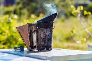 Technology of fumigation of bees. Intoxicating smoke for safe honey production. Old bee smoker. Beekeeping tool. photo