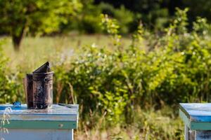 Old bee smoker. Beekeeping tool. Beekeeper inspecting bee hive. photo