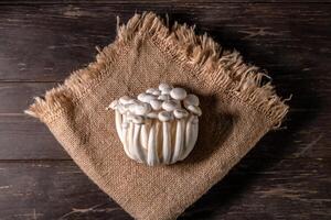 Closeup of a bunch of shimeji mushrooms on wooden background, with selective focus photo