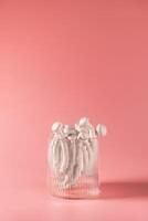 shimeji hongos en vaso, en rosado antecedentes foto