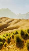 een verbijsterend computer gegenereerd woestijn landschap met majestueus bergen video