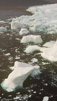 Icebergs floating on water video