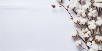 AI generated flat lay dry branches with cotton flowers on a white background, with space for text photo