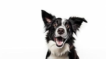 AI generated Photorealistic portrait of a border collie photo