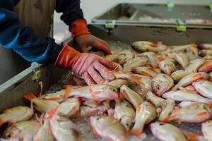 AI generated Photorealistic image. Fish processing plant workshop. photo
