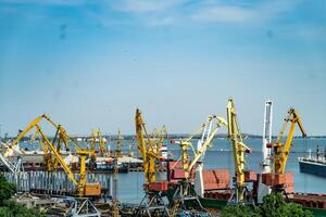 Logistics business. Huge cranes and containers, sunny summer day. International port photo