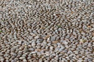 Pebble texture background with various stones in earth tones, suitable for nature-themed designs and backdrops at Kew Gardens, London. photo