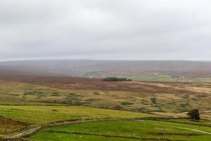 Misty moorland landscape with rolling hills, green fields, and stone walls under a cloudy sky. photo