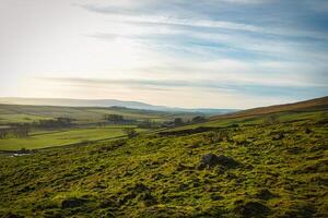 Idyllic countryside landscape with rolling hills and green fields under a clear sky at Sycamore Gap, Northumberland, UK. photo