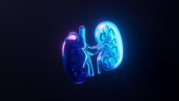 lazo animación de riñón con oscuro neón ligero efecto, 3d representación. video