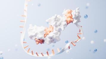 RNA and proteins with biological concept, 3d rendering. video