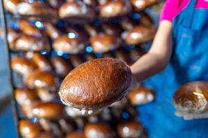 Bread in the hands of a baker on the background of an industrial oven. Industrial bread production photo