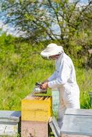 hombre en protector traje en abeja granja. hermoso apicultor trabajando con colmenas foto