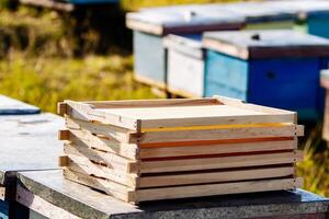 Empty honeycombs near hives. Frame for honeycomb of bees. Beeswax. Wax base for honey bee rebuilding on a hives background. Honeycombs. photo