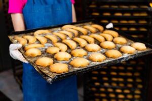 Tray with hot backed cookies. Factory for sweets production. Woman worker with fresh biscuit. photo