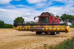 Huge red combine working in the field. Big agricultural farming equipment. photo