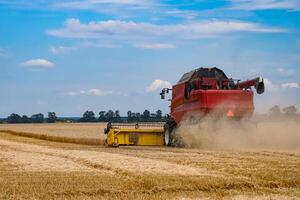 grande agrícola agricultura equipo. enorme rojo combinar trabajando en el campo. foto