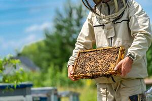 Handsome beekeeper holding wooden frame. Agricultural bee protection. photo