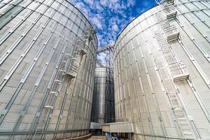 Selective view on cisterns for long term grain storage. Modern steel tanks at up-to-date factory. View from below. photo