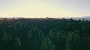 verbazingwekkend visie van roys top in Oekraïne. vliegend over- een hoog berg reeks hoog in de bergen. een verbazingwekkend visie van de bergen in de zomer video