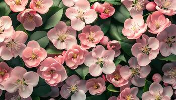 AI generated Pink and white sakura flowers with green leaves background. Top view. photo