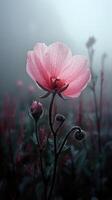 AI generated Pink poppies on a misty meadow in the morning photo