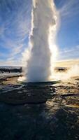 poderoso islandés Strokkur géiser explotando desde el tierra video